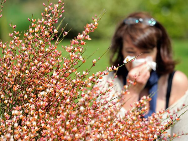 Different Types Of Allergy That You May Experience In Your Life