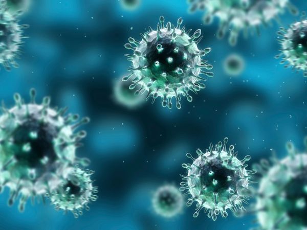 Amoebiasis (Amoebic Dysentery) Causes, Symptoms, Diagnosis, Complications & Treatment