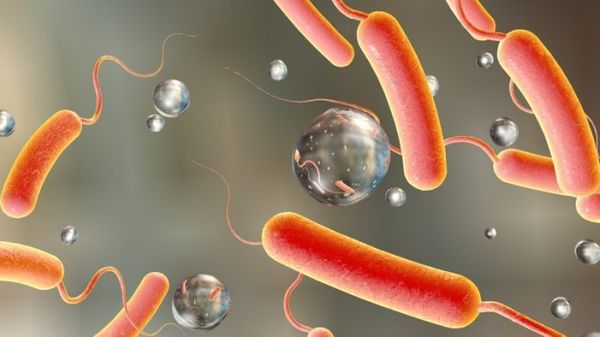 Cholera Causes, Symptoms, Prevention, Diagnosis & Treatment