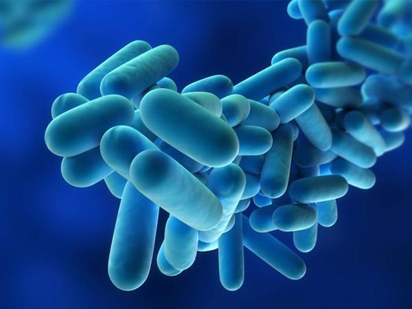 Legionellosis (Legionnaires’ Disease) Causes, Symptoms, Diagnosis & Treatment